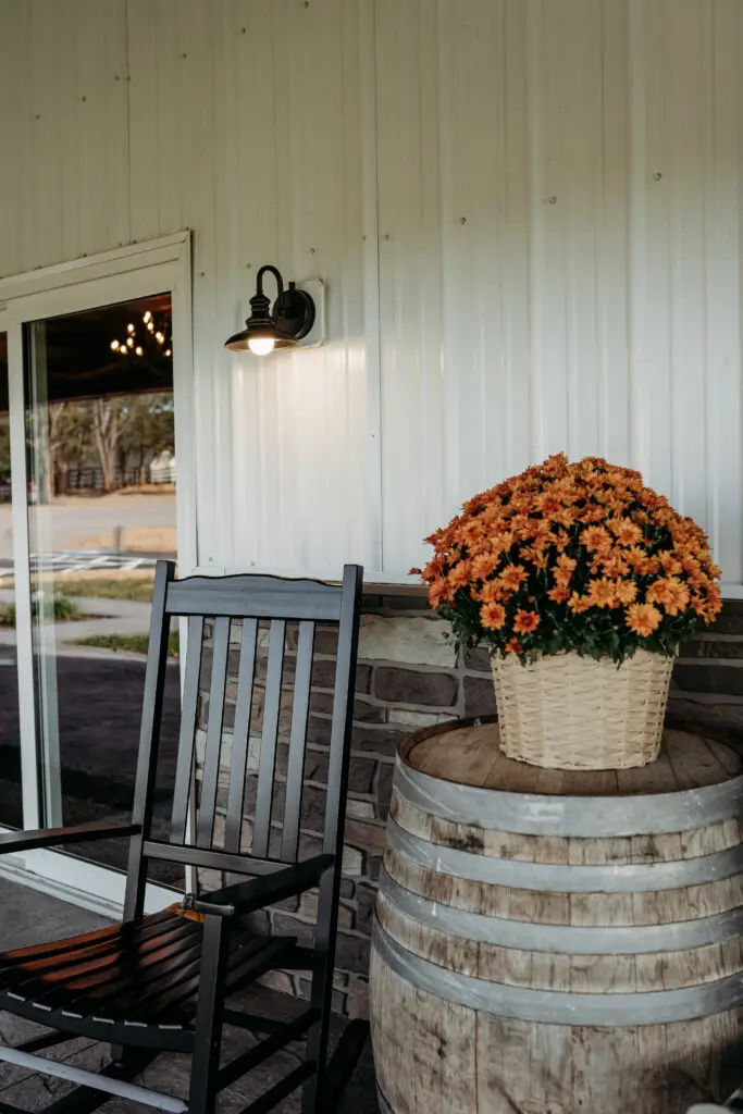 Rocking chair beside flower pot