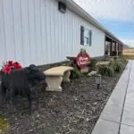 Decorated yard with cow statue