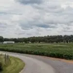 russell-valley-farm (1 of 26)